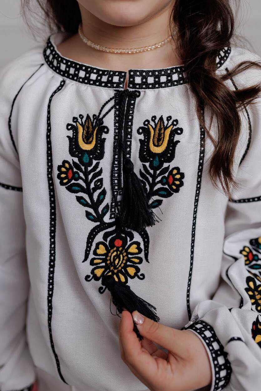 Вишиванка "Тиха сила"